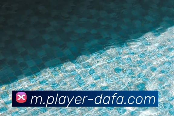 大发官网APP 体育赛事宣传图